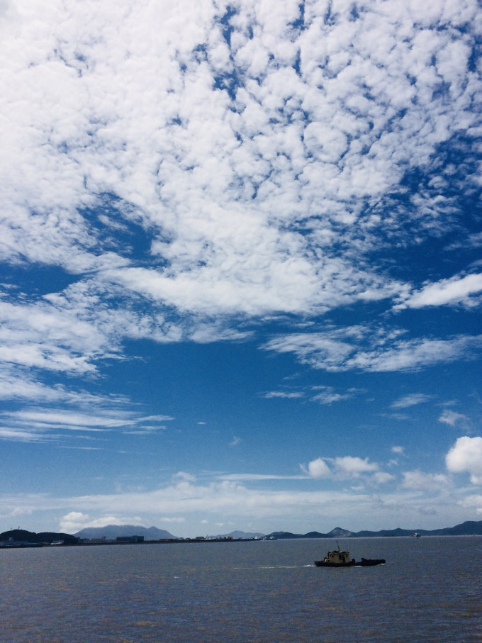 专家解析:君不用问知基数，只观浮云风雨目打一动物谜底