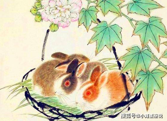 独家调查:吉祥如意打一生肖动物