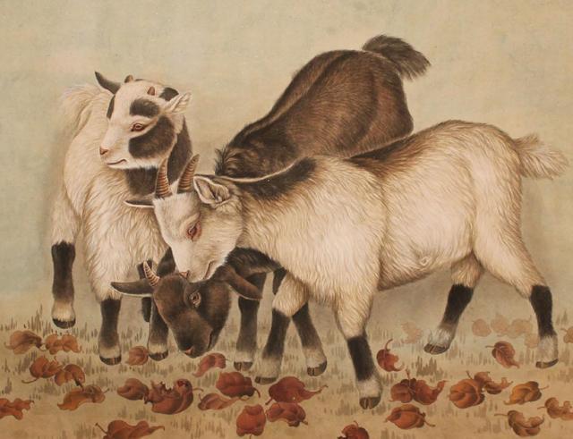 独家专访:二八携手進皇宫，三四今開九得利指什么动物