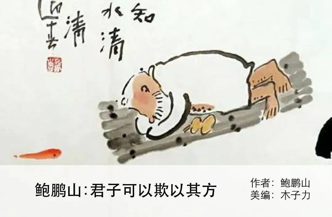 独家观察:君不用问知其数，欲钱大方的动物猜动物