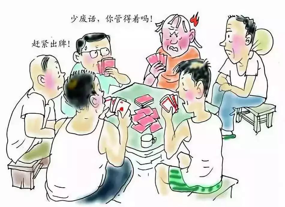 深度剖析:寒风凛凛打一准确生肖