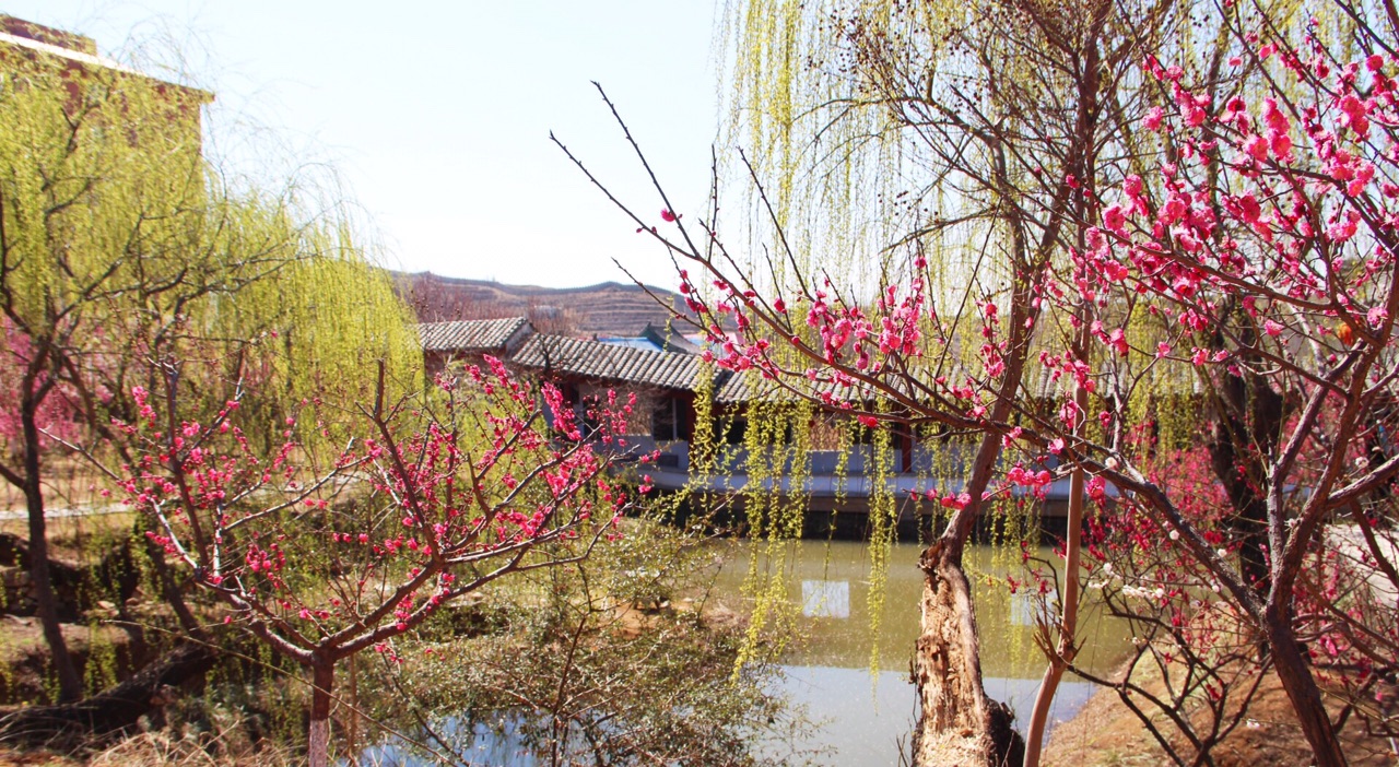 趋势研判:春色满园关不住，佳人妩媚天际来指什么生肖