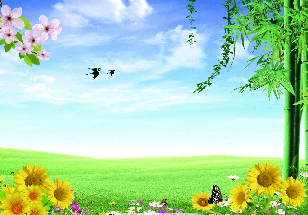 逐项解读:蓝天照耀红花美打一准确数字