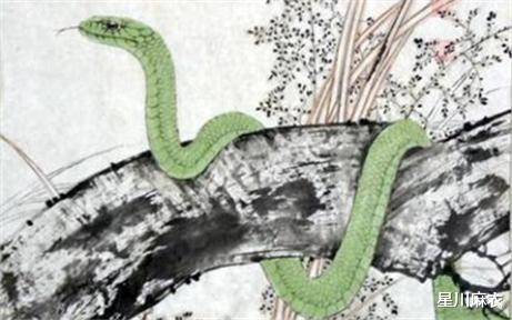 首发资讯:卷土重来龙蛇看打一准确数字