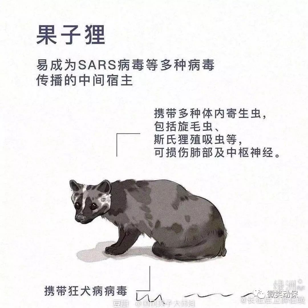 行家点评:君不用问知其数，欲钱大方的动物最佳答案