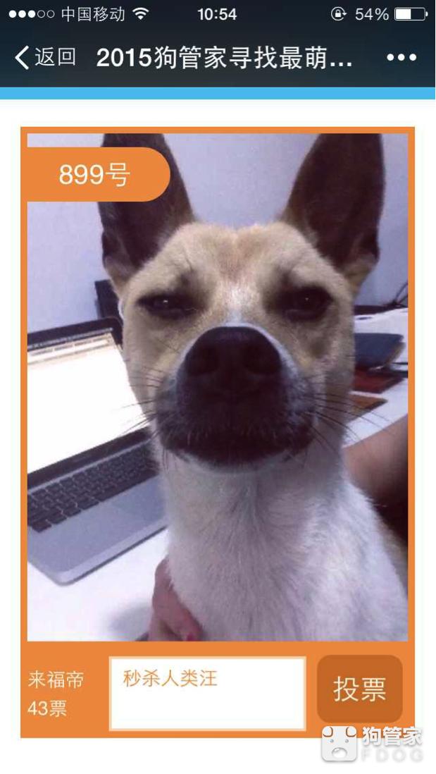 独家调查:揚威抖擞猜本期动物