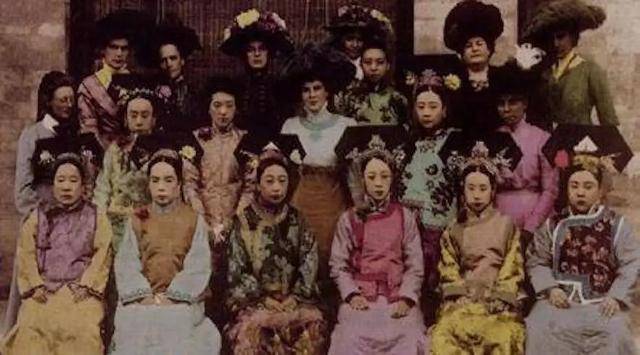 技术阐释:三千佳丽正确答案动物