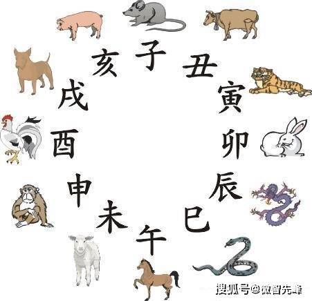 资深分析:东征西站巧解一最佳最佳生肖