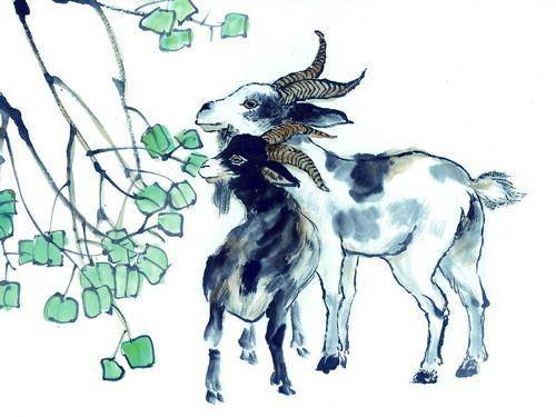 独家视点:仙羊下界遍地春指代表是什么生肖