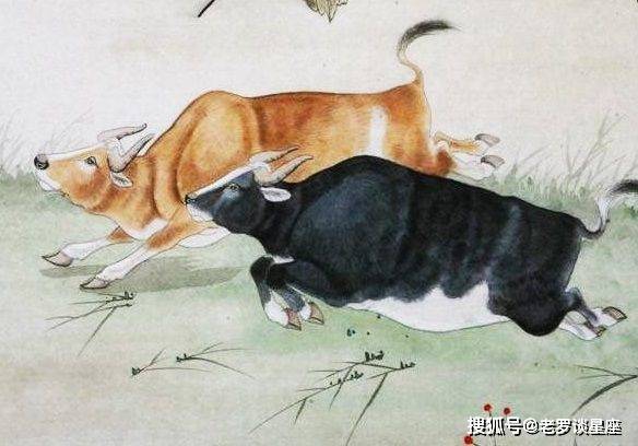 深度剖析:凡尘琐事无时尽猜指打个最佳精准代表哪一个生肖