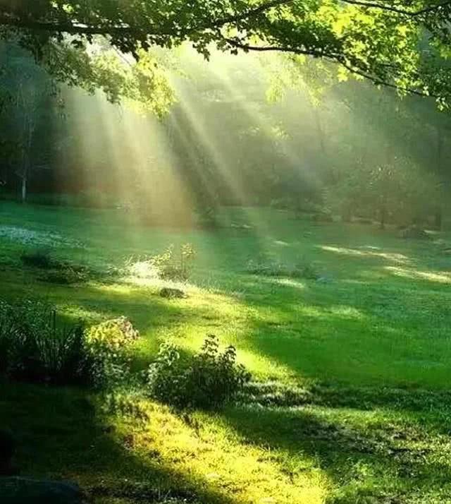 图文解析:蓝天绿地鸟儿飞，挑得蓝里便是来代表什么生肖