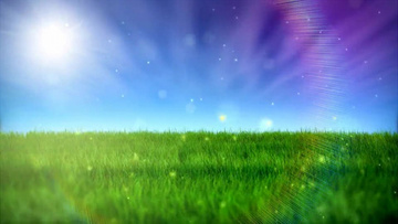 逐项解读:蓝天照耀红花美打一准确数字