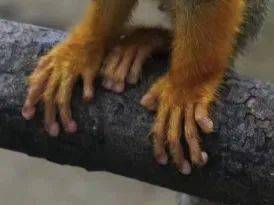 独家专访:风后日丽好劳动猜一动物