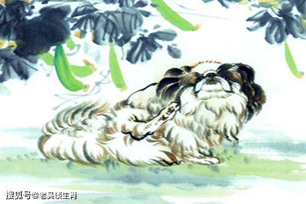 独家视点:仙羊下界遍地春指代表是什么生肖