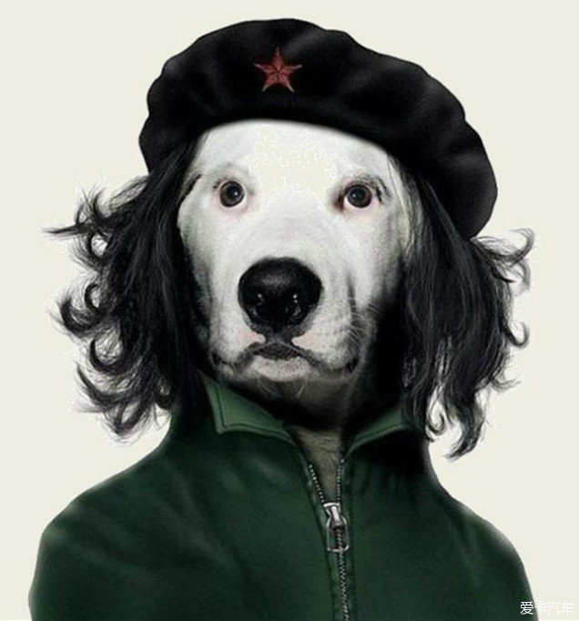 内幕披露:人模狗样代表什么生肖