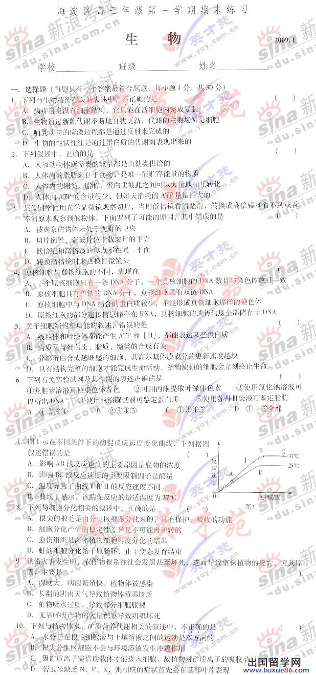 视角拆解:平安是金爲真理，八棱梅花亮銀錘。正确答案动物