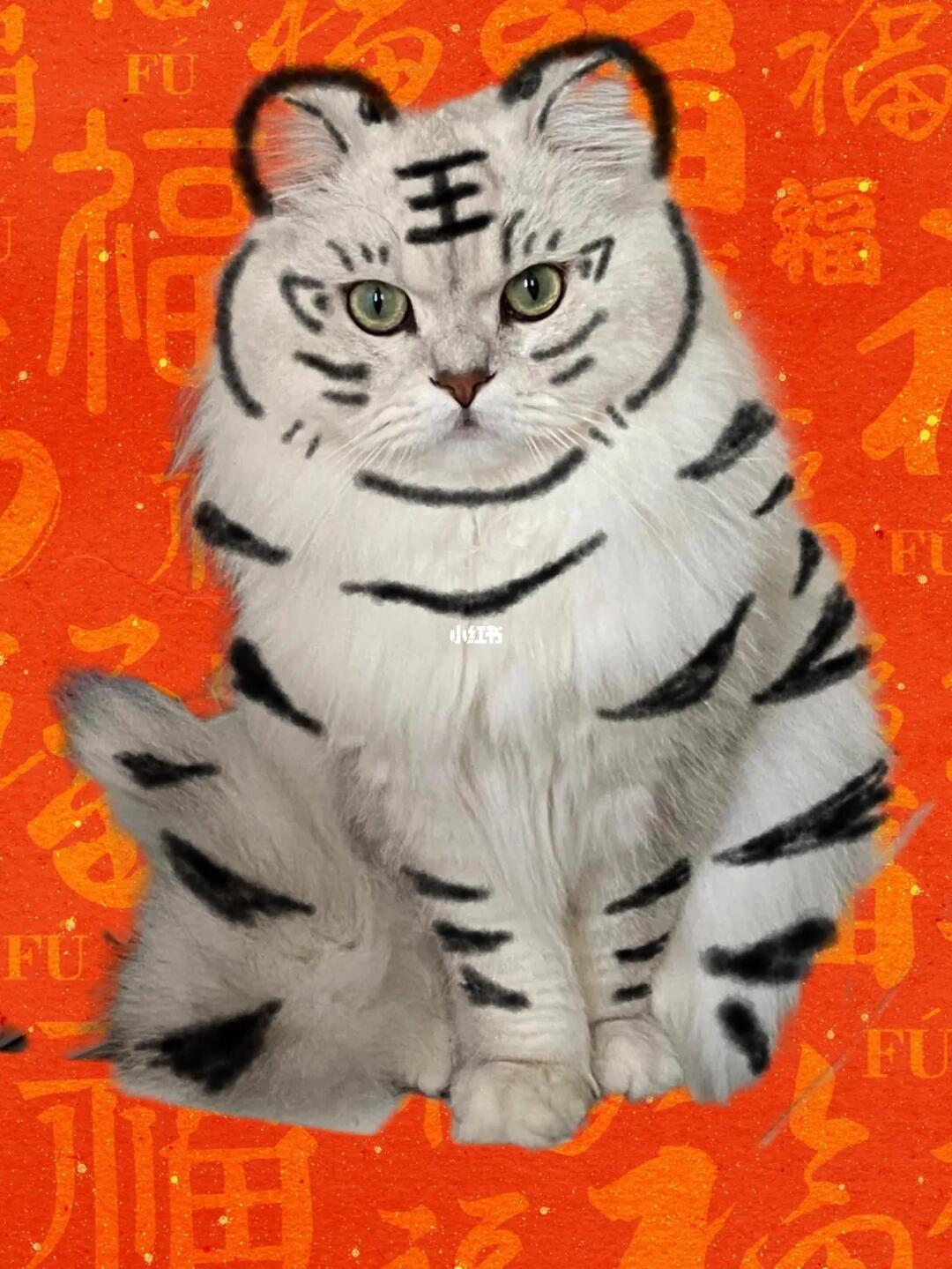 一手资讯:照猫画虎打一数字