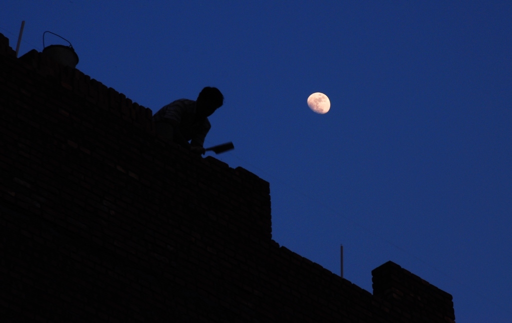 技术阐释:披星戴月开过什么生肖