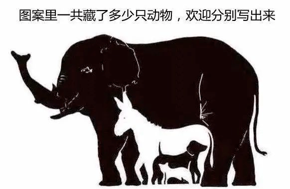 独家专访:风后日丽好劳动猜一动物