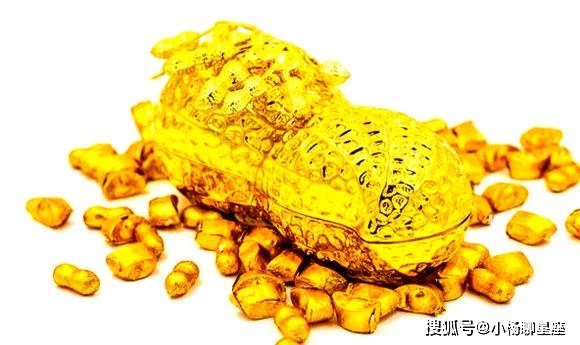 专家解析:金银财宝一大把巧解一最佳最佳生肖