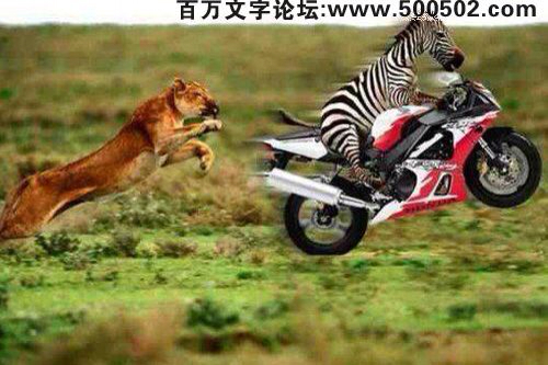 全面阐释:得定靈碼投下注，說破玄機不为奇开过什么生肖