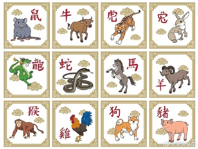 逐项解读:相映成趣是什么生肖