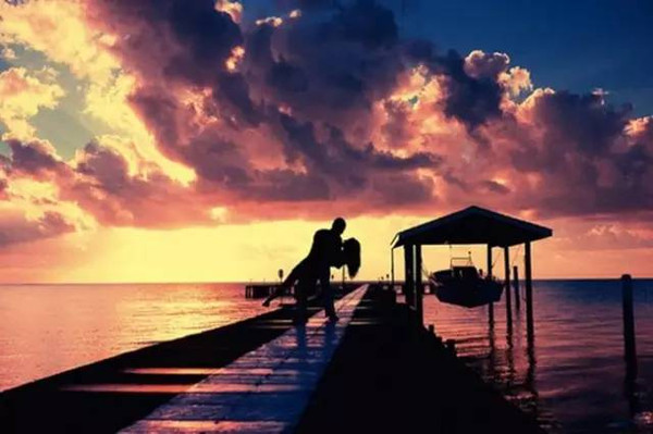 趋势研判:不为小利误前途，羽辙交弛夕阳下猜生肖