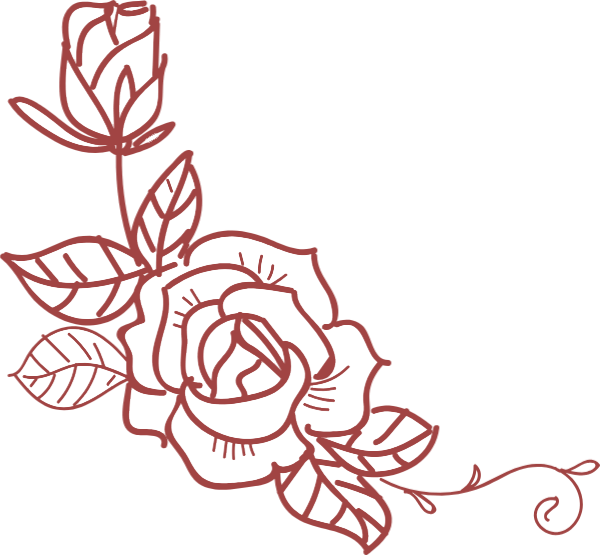 深度剖析:披星戴月是什么生肖