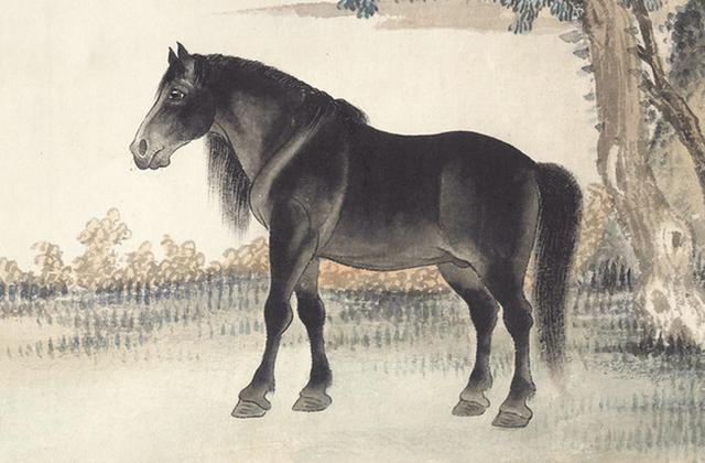 热点剖析:揚威抖擞代表什么生肖