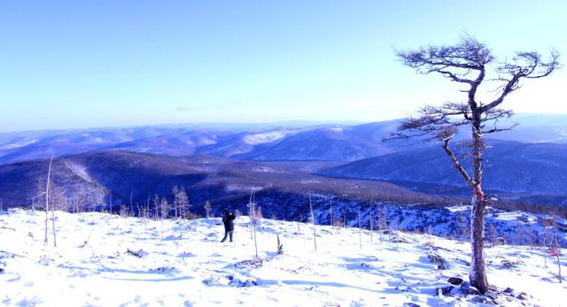 热点剖析:寒风凛凛本期数字