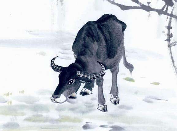 独家观察:嘴尖齿利东复西，唯利是图去复来巧解一最佳最佳生肖