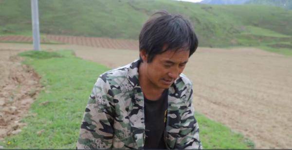 独家视点:勤劳人家忙地头，吉人天相八面财代表什么生肖