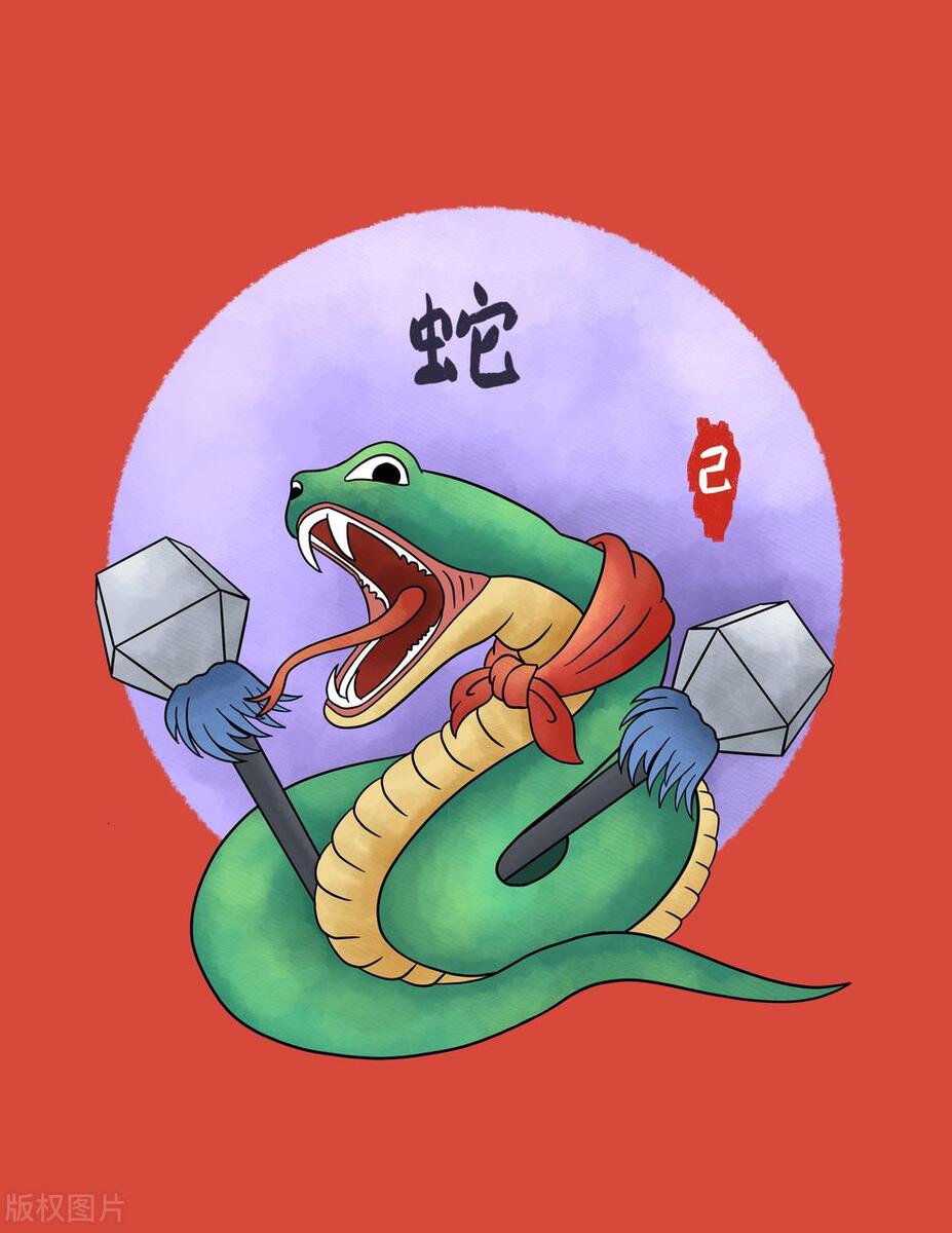 首发资讯:卷土重来龙蛇看打一准确数字