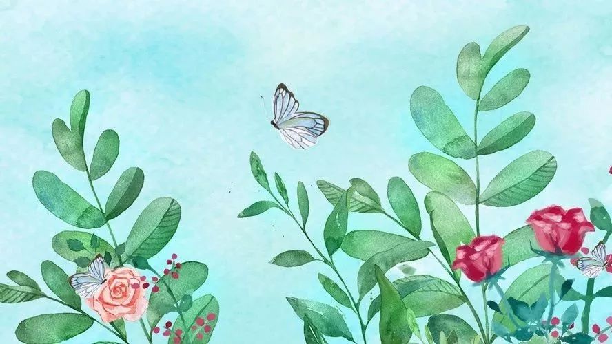 趋势研判:三衰六旺皆前定，出奇入神柳与花指打代表一最佳什么生肖