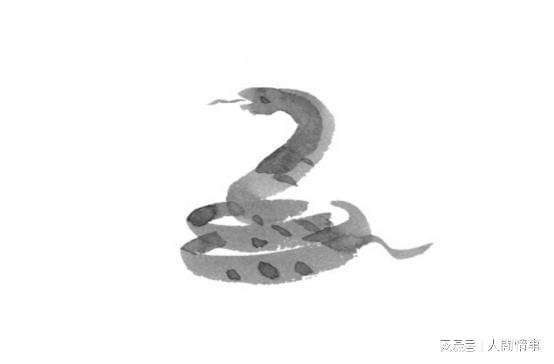 首发资讯:卷土重来龙蛇看打一准确数字