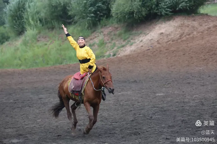 深度报道:金木两行可中特，老猴骑马倒着走。代表什么生肖