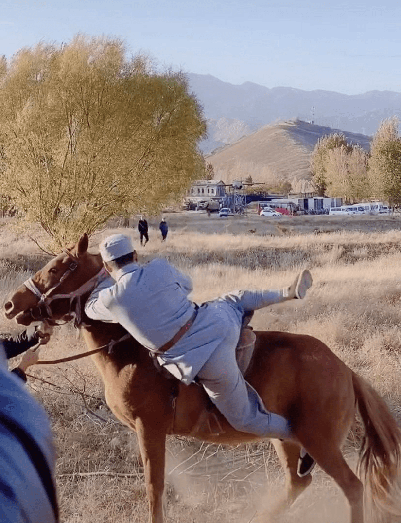 独家解读:金木两行可中特，老猴骑马倒着走。开过什么生肖
