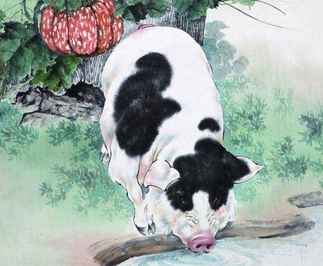 独家视点:嘴尖齿利东复西，唯利是图去复来打一最佳最佳生肖词语