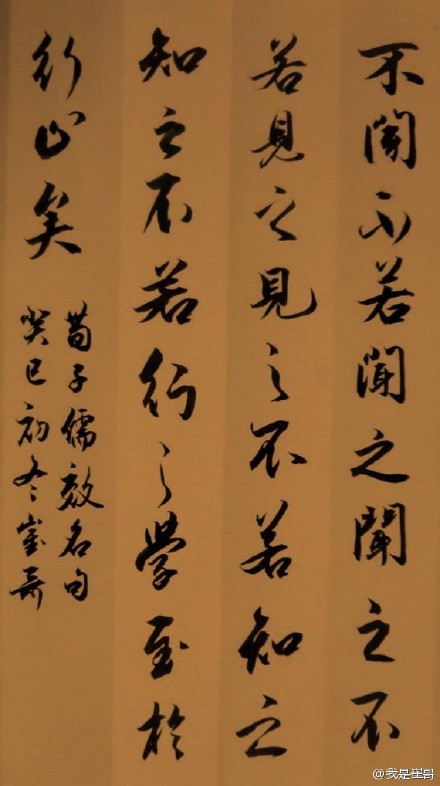 技术阐释:君不用问知其数，欲钱大方的动物猜动物