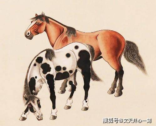 热点剖析:揚威抖擞代表什么生肖