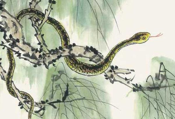 热点剖析:龙飞凤舞代表什么准确生肖