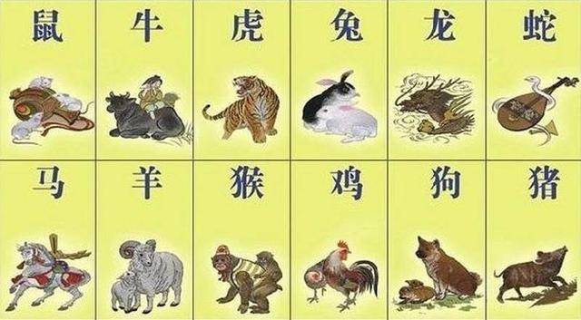 权威解读:君不用问知其数，欲钱大方的动物猜生肖
