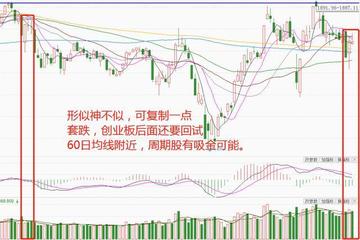 实战解析:舍生忘死打一最佳生肖