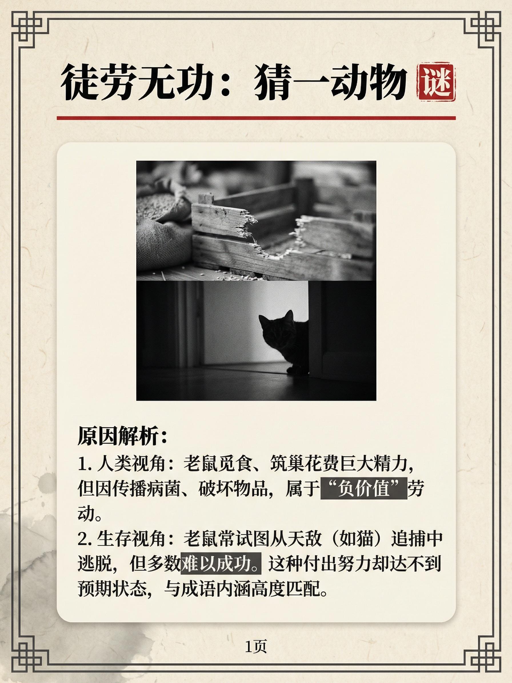 深度剖析:其乐无穷猜本期动物