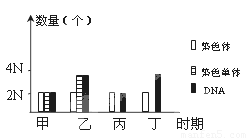 权威解读:一分神似打一准确数字