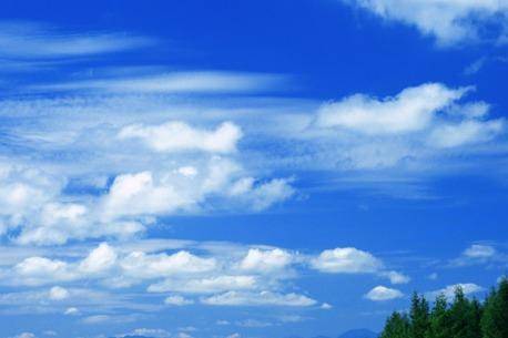 专家解析:蓝天照耀红花美打一准确生肖